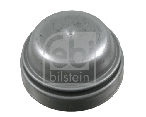 Cap, wheel bearing
